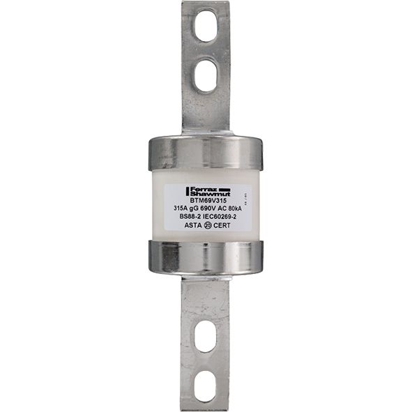 R1006633 - Central Bolted Tag fuse-links gM 690VAC/460VDC 315A